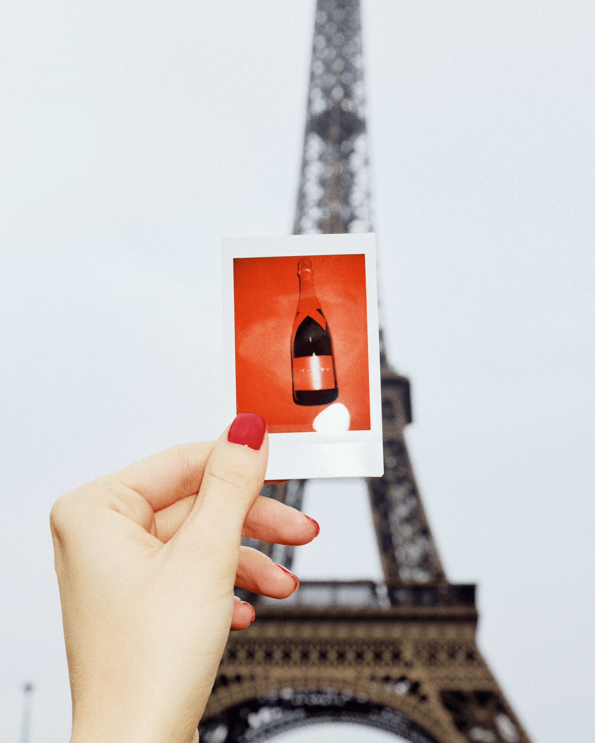 NOS CHAMPAGNES-WINTER-RIGHT-NEW