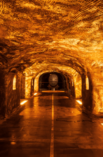 CARROUSEL EXPERIENCES BRAND HOME MOET & CHANDON - IMPERIAL MOMENT