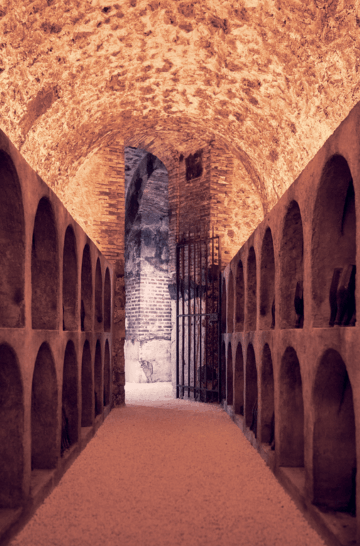 CARROUSEL EXPERIENCES BRAND HOME MOET & CHANDON - MOET COLLECTION