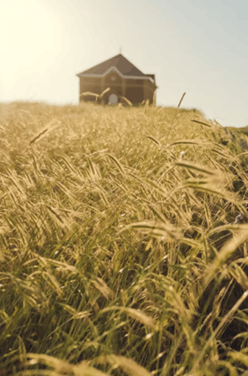 CARROUSEL EXPERIENCES BRAND HOME MOET & CHANDON - TERROIR TREASURE